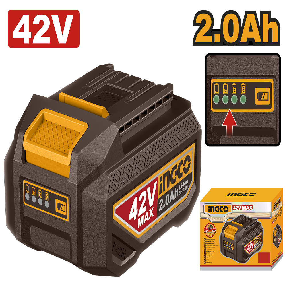 Lithium-Ion battery pack FBLI42201