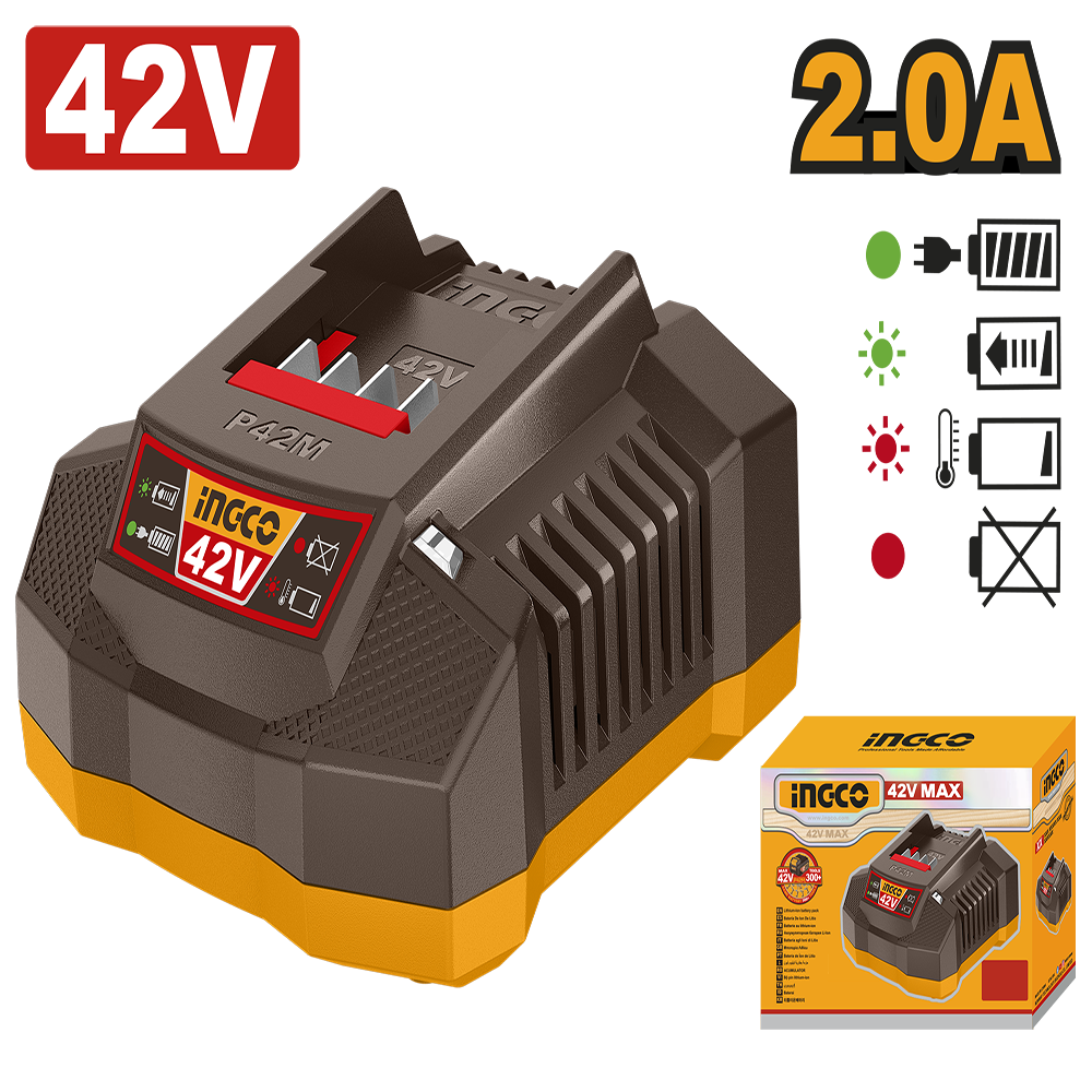 P42M battery charger FCLI42021