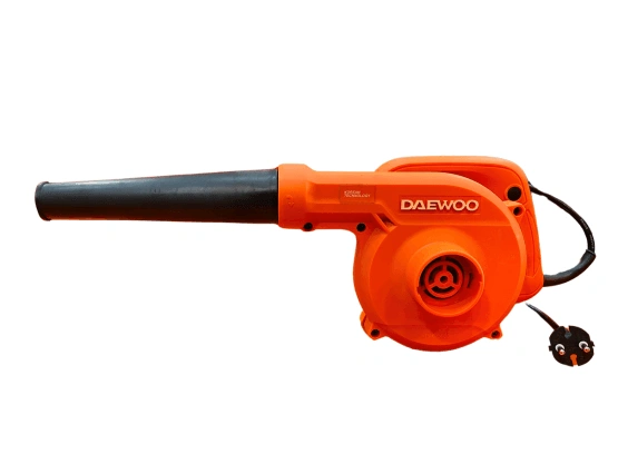 Electric Blower 800W